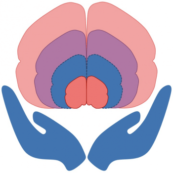 Hands holding up multicolor brain. 